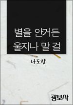 별을 안거든 울지나 말 걸 (커버이미지)