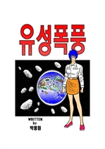 유성폭풍 (커버이미지)