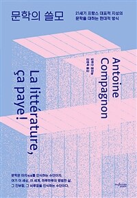 문학의 쓸모 - 21세기 프랑스 대표적 지성의 문학을 대하는 현대적 방식 (커버이미지)