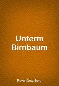 Unterm Birnbaum (Ŀ̹)