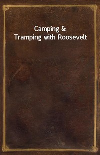 Camping&Tramping with Roosevelt (커버이미지)