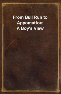 From Bull Run to Appomattox: A Boy's View (커버이미지)