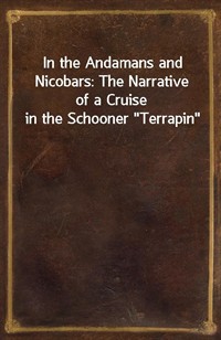 In the Andamans and Nicobars: The Narrative of a Cruise in the Schooner"Terrapin" (커버이미지)