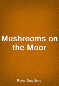 Mushrooms on the Moor (Ŀ̹)