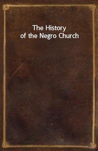 The History of the Negro Church (Ŀ̹)