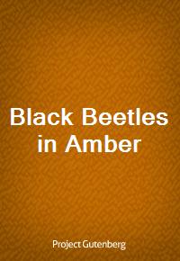 Black Beetles in Amber (커버이미지)
