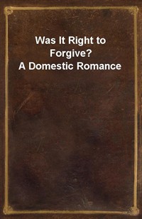 Was It Right to Forgive? A Domestic Romance (Ŀ̹)