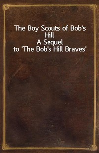 The Boy Scouts of Bob's HillA Sequel to 'The Bob's Hill Braves' (Ŀ̹)