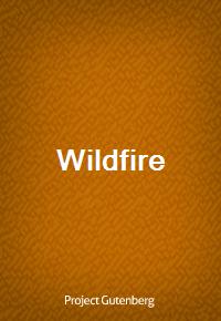 Wildfire (Ŀ̹)