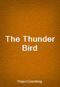 The Thunder Bird (Ŀ̹)