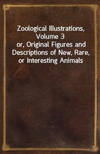 Zoological Illustrations, Volume 3or, Original Figures and Descriptions of New, Rare, or Interesting Animals (커버이미지)