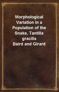 Morphological Variation in a Population of the Snake, Tantilla gracilis Baird and Girard (Ŀ̹)