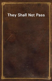 They Shall Not Pass (Ŀ̹)