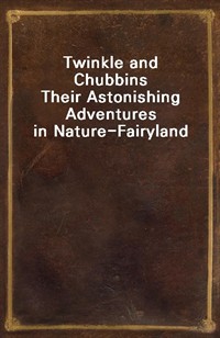 Twinkle and ChubbinsTheir Astonishing Adventures in Nature-Fairyland (Ŀ̹)