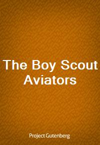 The Boy Scout Aviators (Ŀ̹)