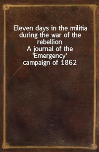Eleven days in the militia during the war of the rebellionA journal of the 'Emergency' campaign of 1862 (커버이미지)
