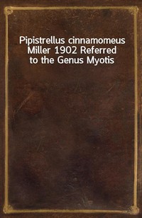 Pipistrellus cinnamomeus Miller 1902 Referred to the Genus Myotis (Ŀ̹)