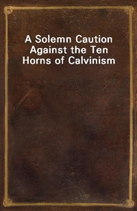 A Solemn Caution Against the Ten Horns of Calvinism (커버이미지)