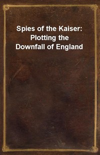 Spies of the Kaiser: Plotting the Downfall of England (Ŀ̹)