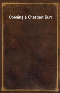 Opening a Chestnut Burr (Ŀ̹)