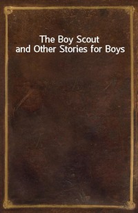 The Boy Scout and Other Stories for Boys (Ŀ̹)