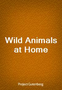 Wild Animals at Home (Ŀ̹)