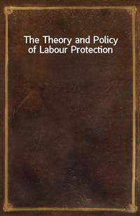 The Theory and Policy of Labour Protection (Ŀ̹)