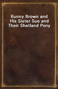 Bunny Brown and His Sister Sue and Their Shetland Pony (커버이미지)
