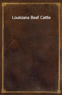 Louisiana Beef Cattle (Ŀ̹)