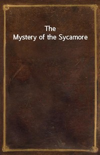 The Mystery of the Sycamore (Ŀ̹)