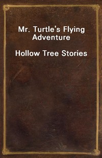 Mr. Turtle's Flying AdventureHollow Tree Stories (Ŀ̹)