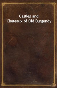 Castles and Chateaux of Old Burgundy (커버이미지)