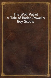 The Wolf PatrolA Tale of Baden-Powell's Boy Scouts (Ŀ̹)