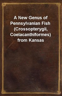 A New Genus of Pennsylvanian Fish (Crossopterygii, Coelacanthiformes) from Kansas (커버이미지)