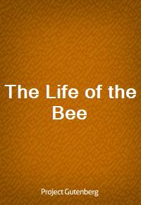 The Life of the Bee (Ŀ̹)