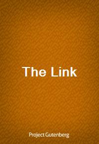 The Link (Ŀ̹)