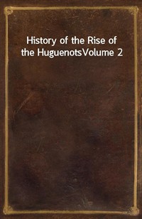 History of the Rise of the HuguenotsVolume 2 (커버이미지)