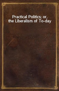 Practical Politics; or, the Liberalism of To-day (Ŀ̹)