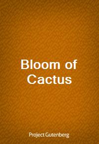 Bloom of Cactus (커버이미지)