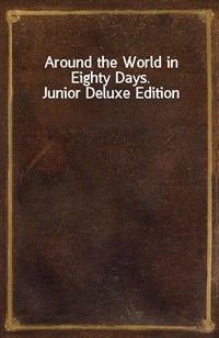 Around the World in Eighty Days. Junior Deluxe Edition (커버이미지)