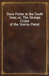 Dave Porter in the South Seas; or, The Strange Cruise of the Stormy Petrel (커버이미지)