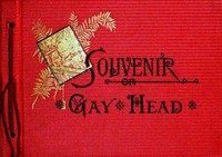 Souvenir of Gay Head: Indelible Photographs (Ŀ̹)