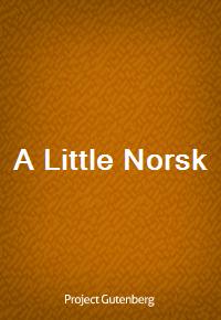 A Little Norsk (커버이미지)