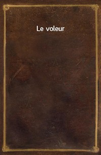 Le voleur (Ŀ̹)