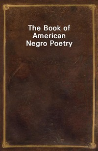 The Book of American Negro Poetry (Ŀ̹)