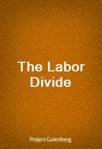 The Labor Divide (Ŀ̹)