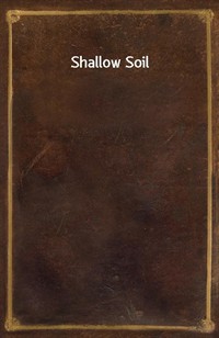 Shallow Soil (Ŀ̹)