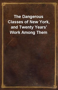 The Dangerous Classes of New York, and Twenty Years' Work Among Them (Ŀ̹)