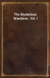 The Mysterious Wanderer, Vol. I (Ŀ̹)