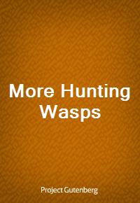 More Hunting Wasps (Ŀ̹)